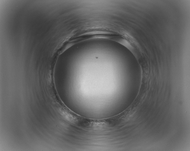 X0000068740401200604281145