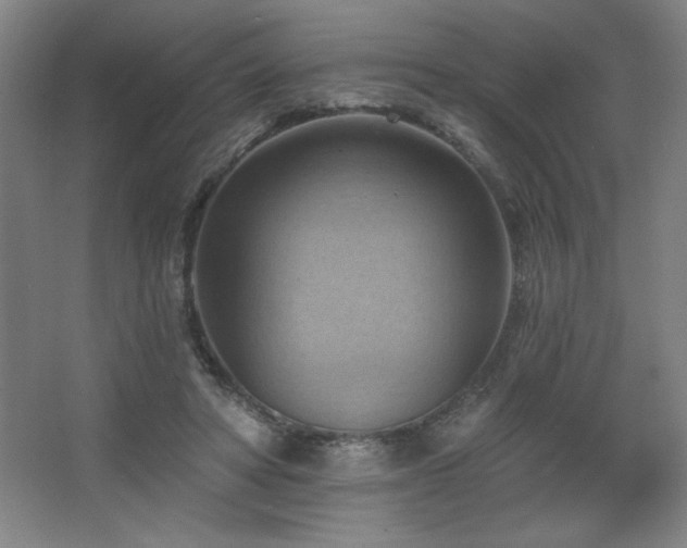 X0000068740402200604281145