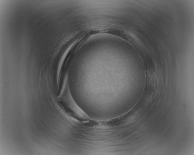 X0000068740404200604281145