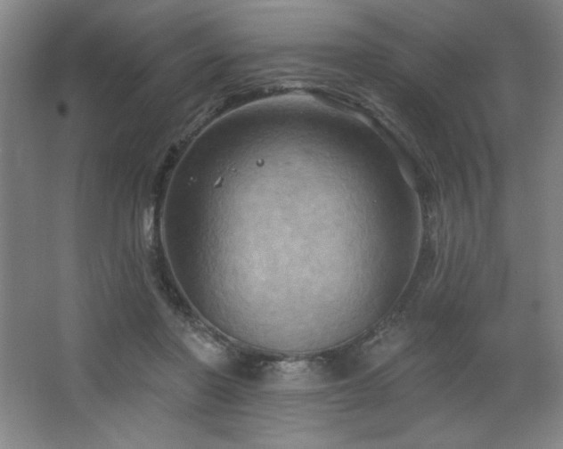 X0000068740406200604281145