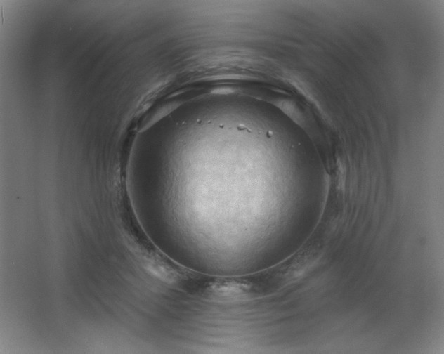 X0000068740407200604281145