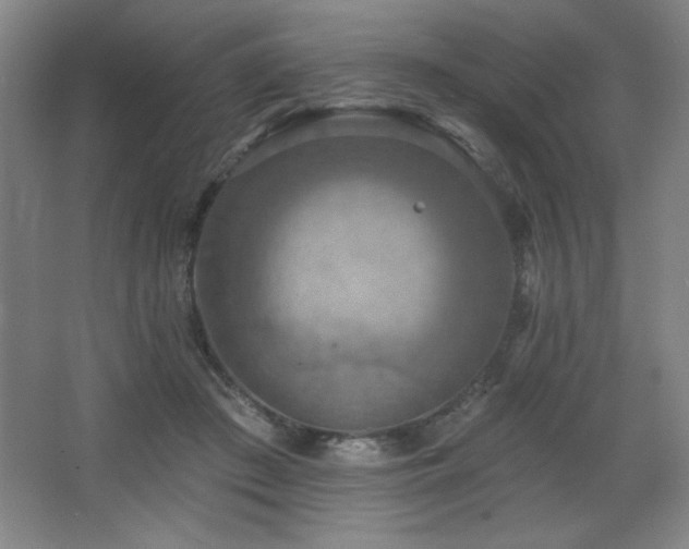 X0000068740409200604281145