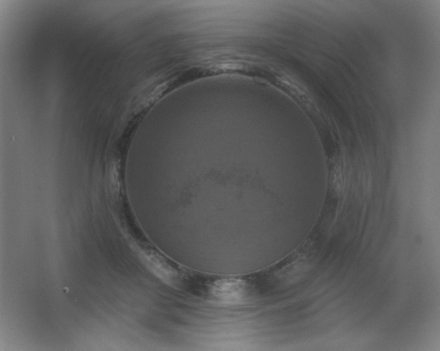 X0000068740410200604281145