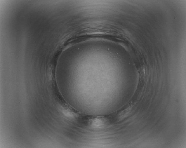 X0000068740412200604281145