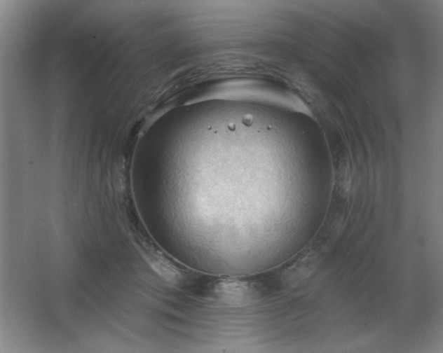 X0000068740413200604281145