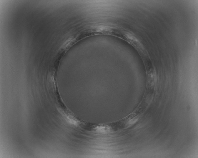 X0000068740415200604281144