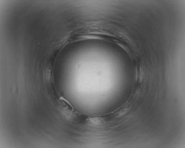 X0000068740417200604281144