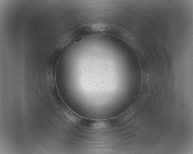 X0000068740418200604281144