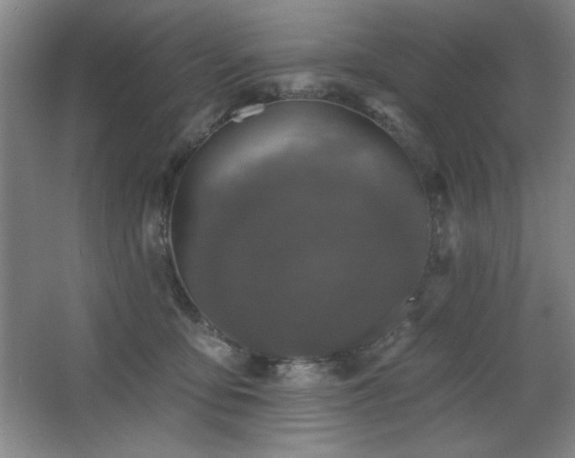 X0000068740419200604281144