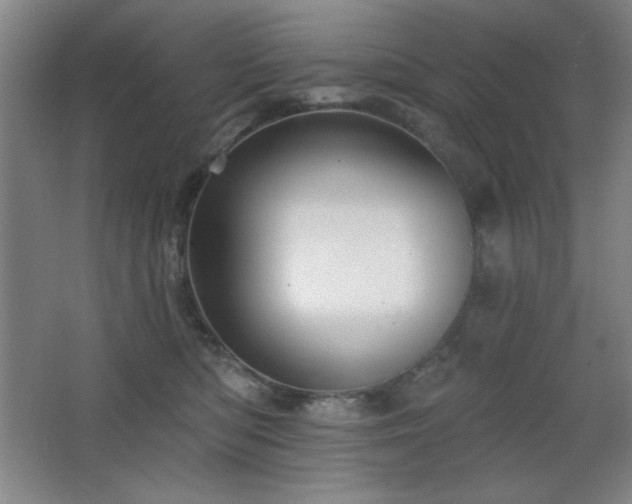 X0000068740422200604281144