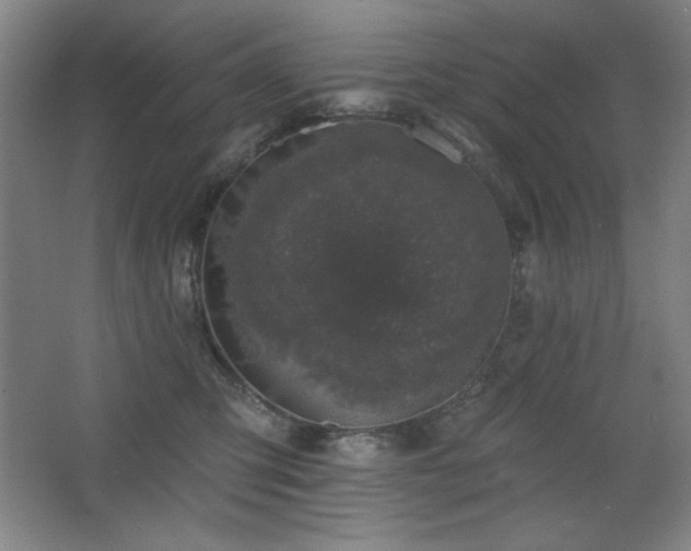 X0000068740423200604281144