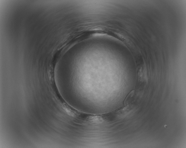 X0000068740424200604281144