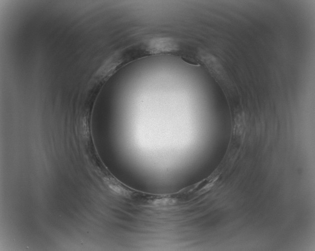 X0000068740426200604281144