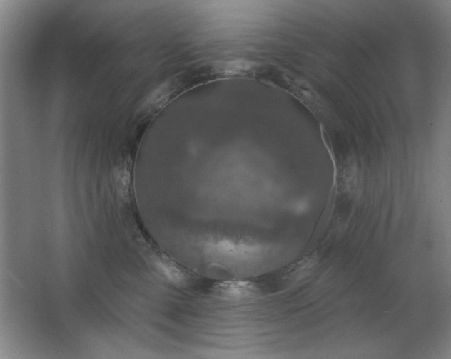 X0000068740427200604281144