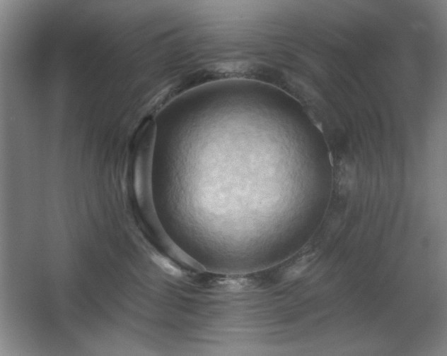 X0000068740428200604281144