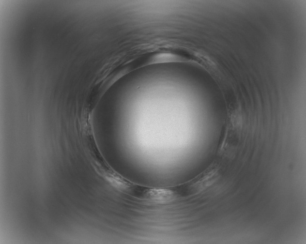 X0000068740429200604281144