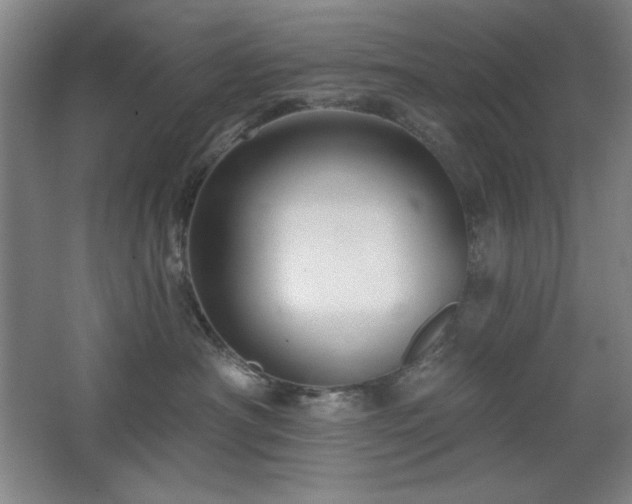 X0000068740430200604281144