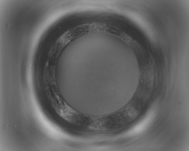 X0000068740431200604281144