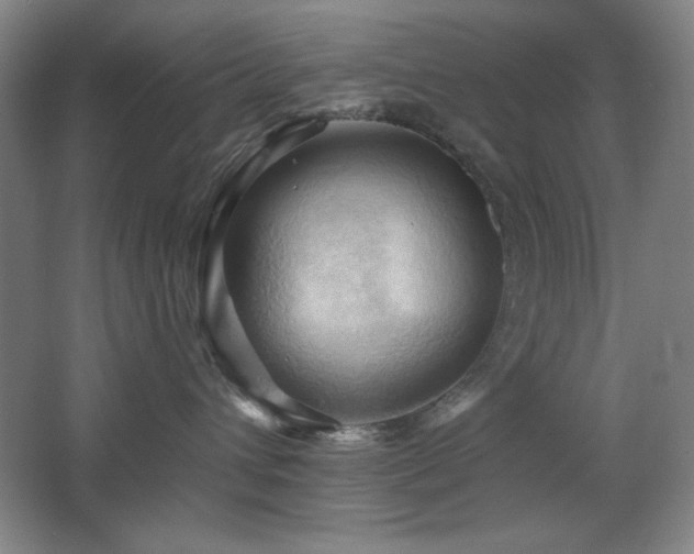 X0000068740432200604281144