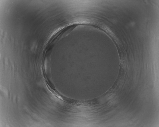 X0000068740434200604281143