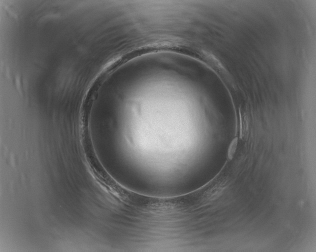 X0000068740435200604281143