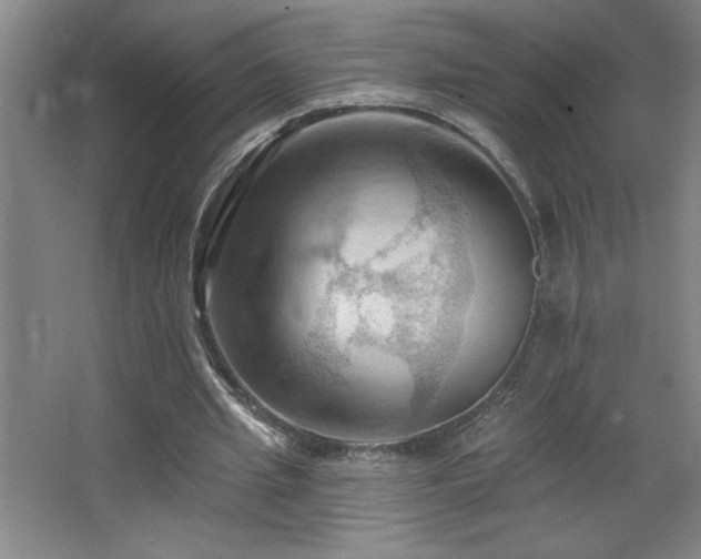 X0000068740437200604281143