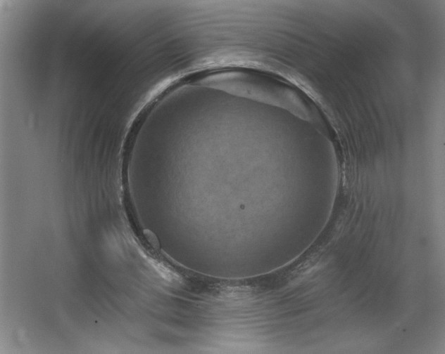 X0000068740438200604281143