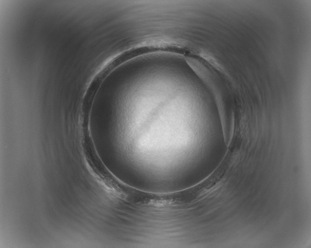 X0000068740440200604281143