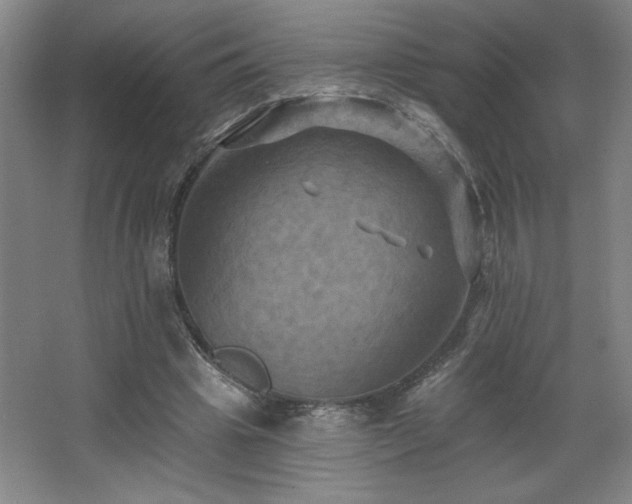 X0000068740441200604281144