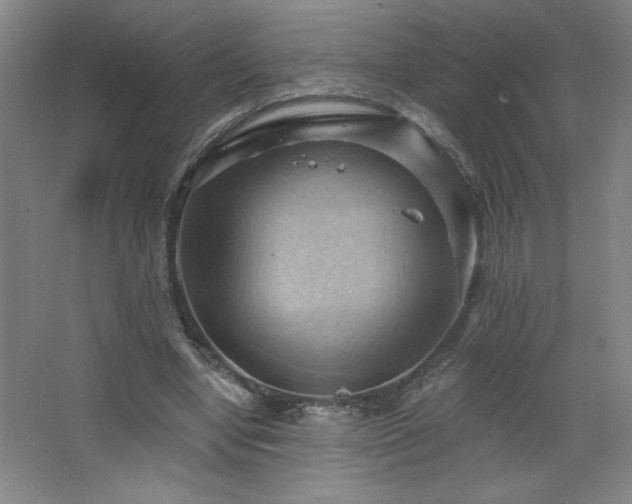 X0000068740442200604281144