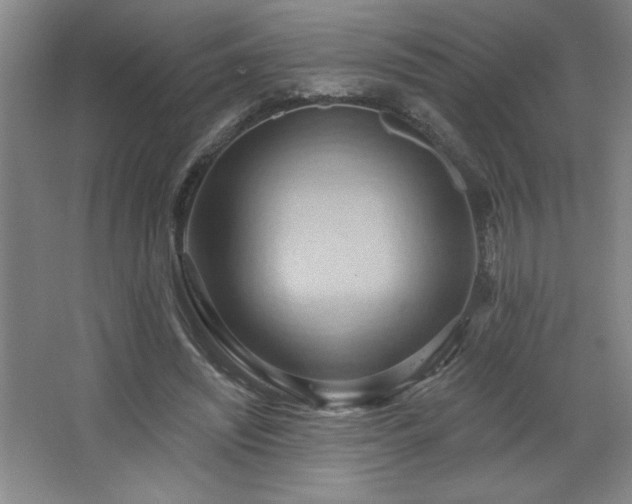 X0000068740444200604281144