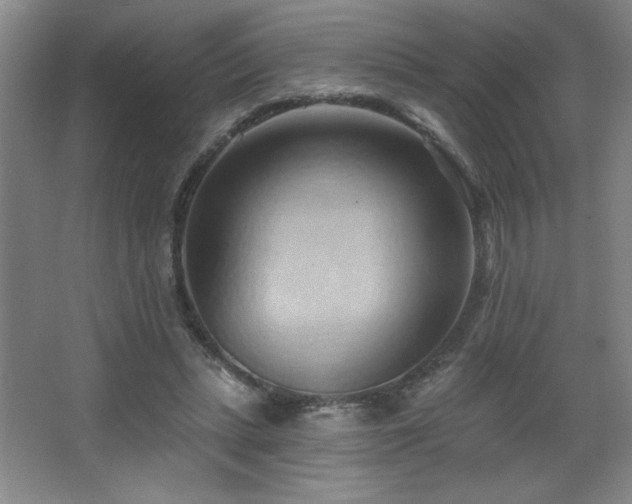 X0000068740447200604281144