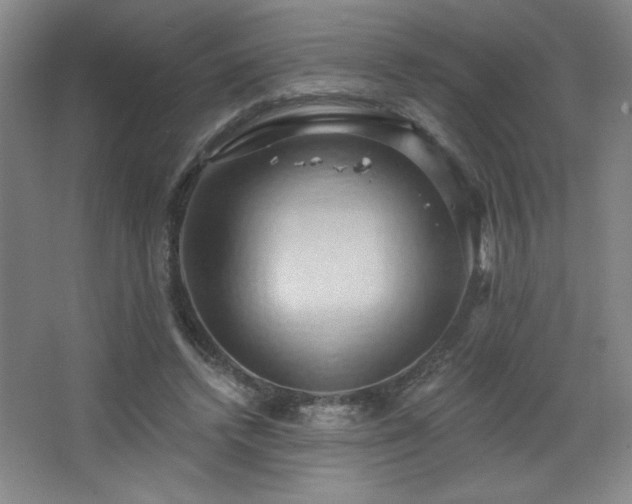 X0000068740448200604281144