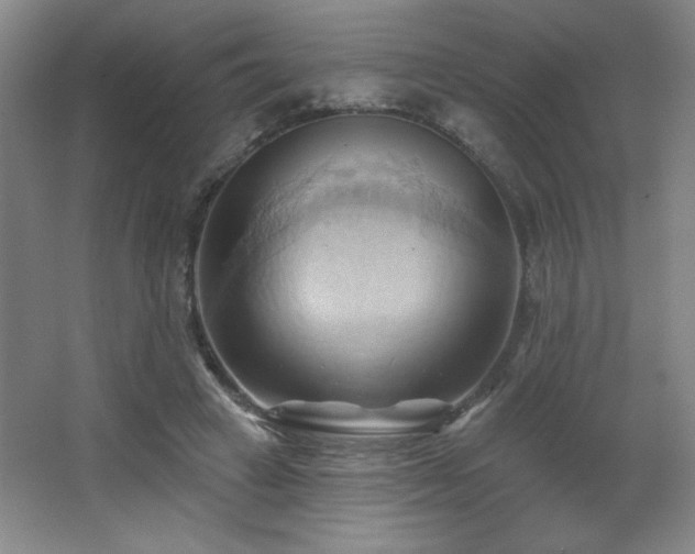 X0000068740449200604281144