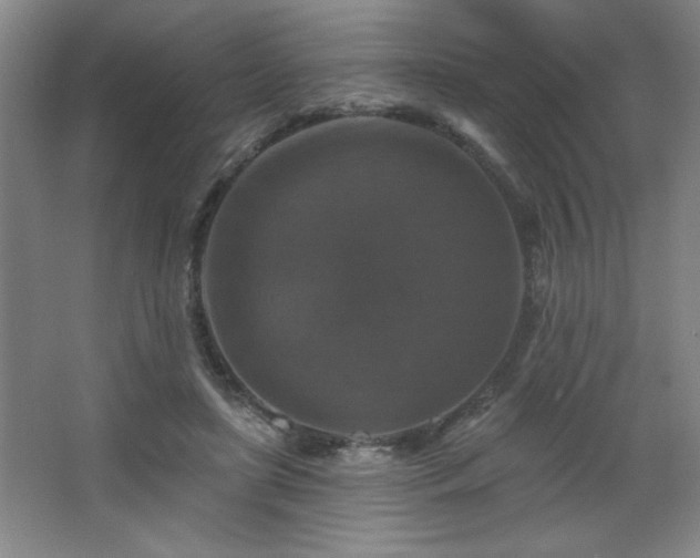 X0000068740451200604281144