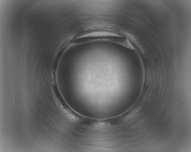 X0000068740453200604281144