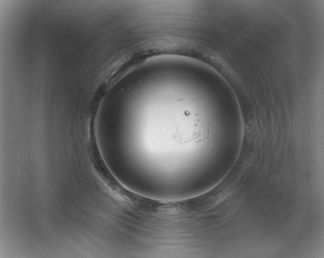 X0000068740454200604281144