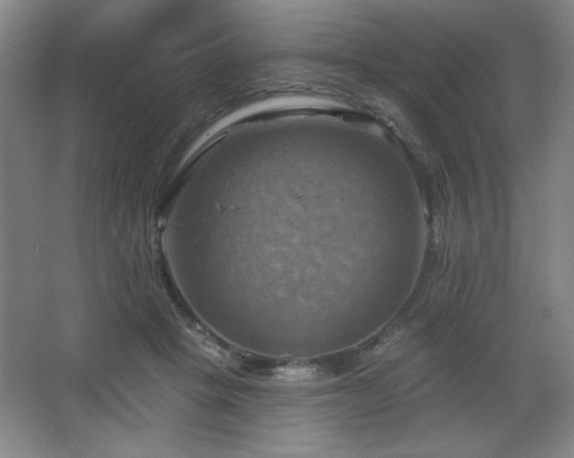 X0000068740457200604281144