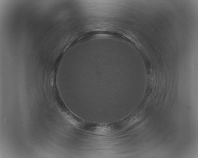 X0000068740458200604281144