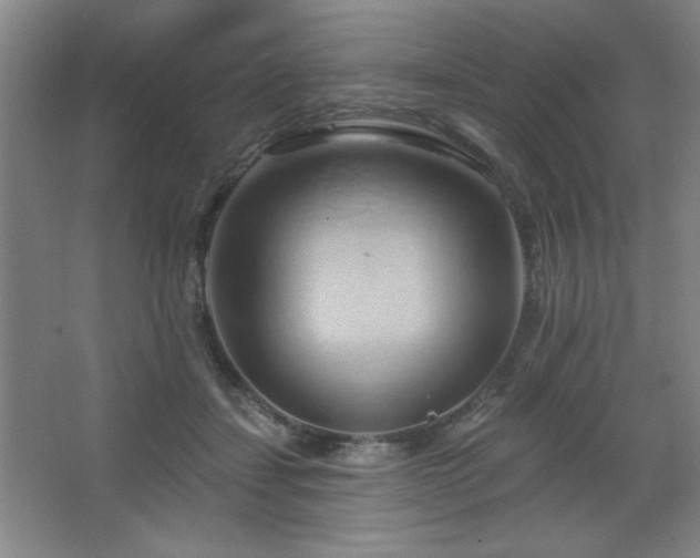 X0000068740459200604281144