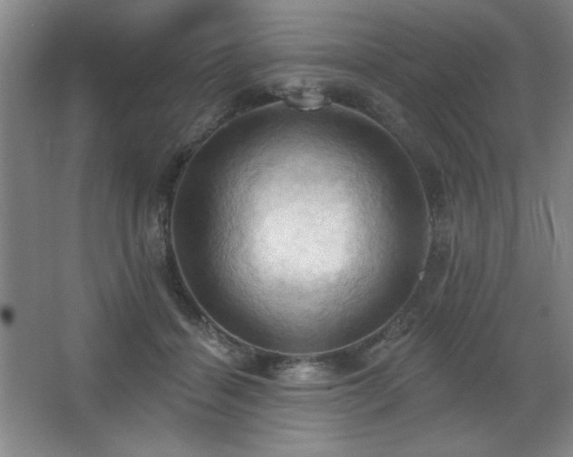 X0000068740460200604281144