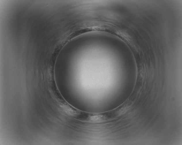 X0000068740461200604281144