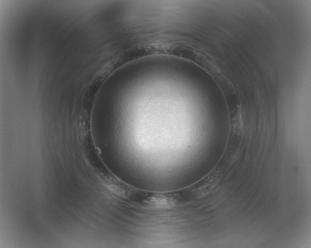 X0000068740464200604281144