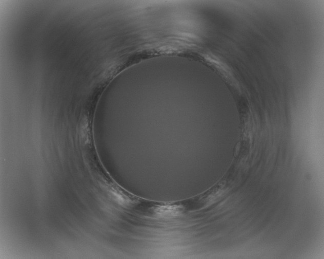 X0000068740465200604281144