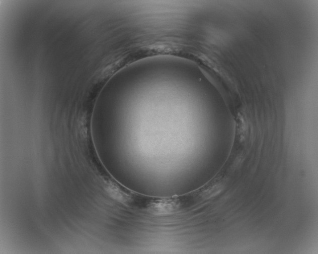 X0000068740466200604281144