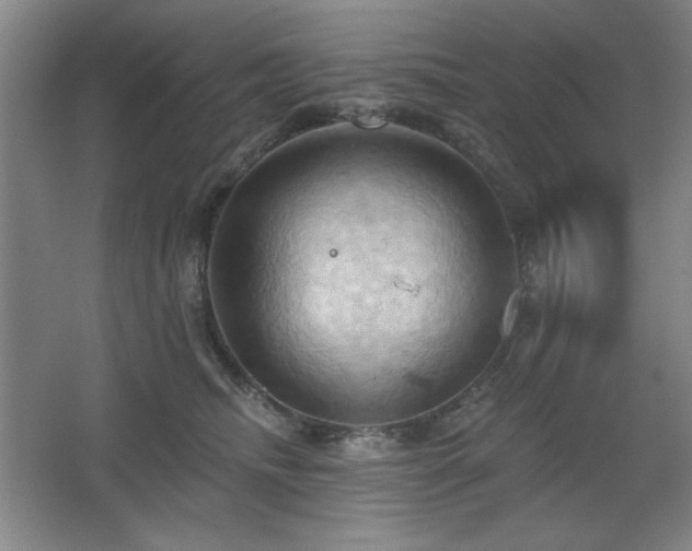 X0000068740468200604281144