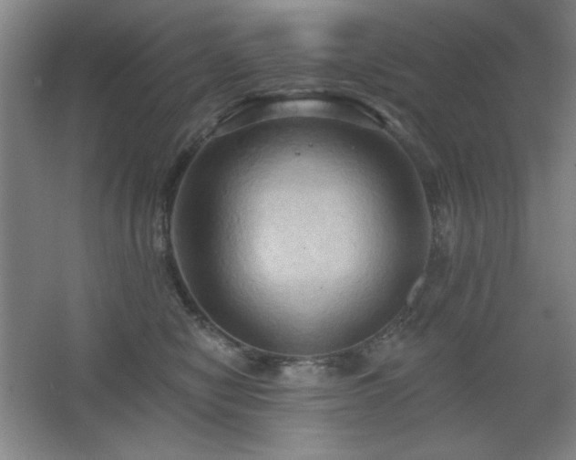 X0000068740470200604281144