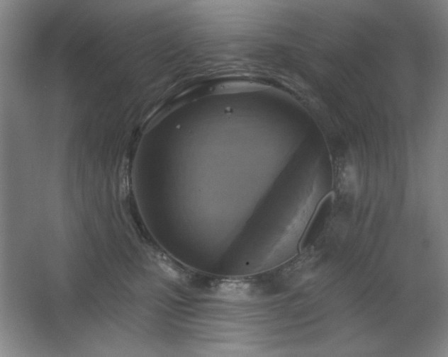 X0000068740471200604281144