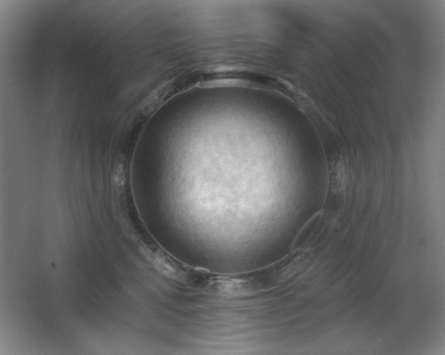 X0000068740472200604281144