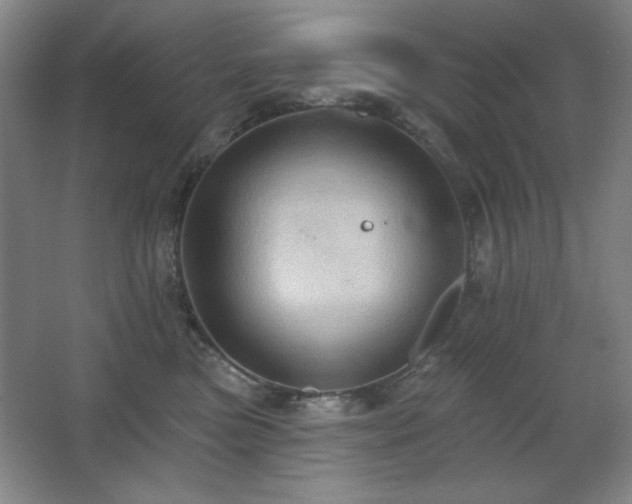 X0000068740473200604281144